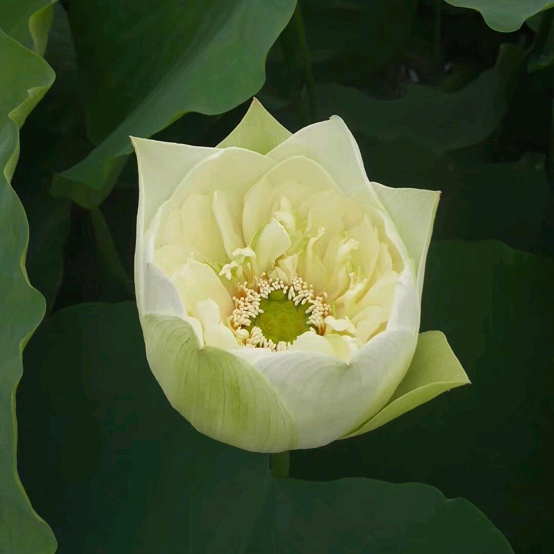 ☠╄→失呿の靑舂