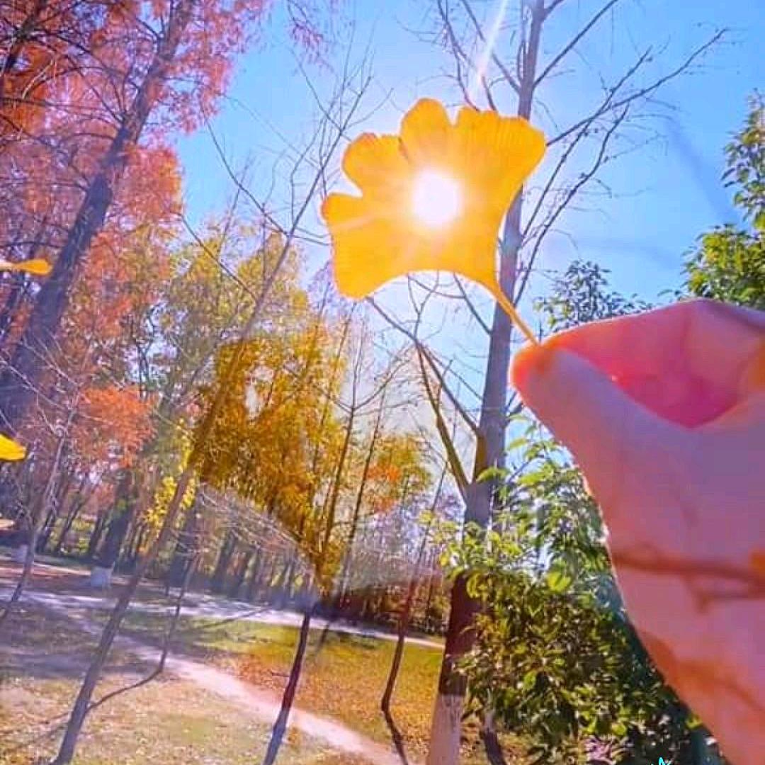 多财多亿   事事顺遂