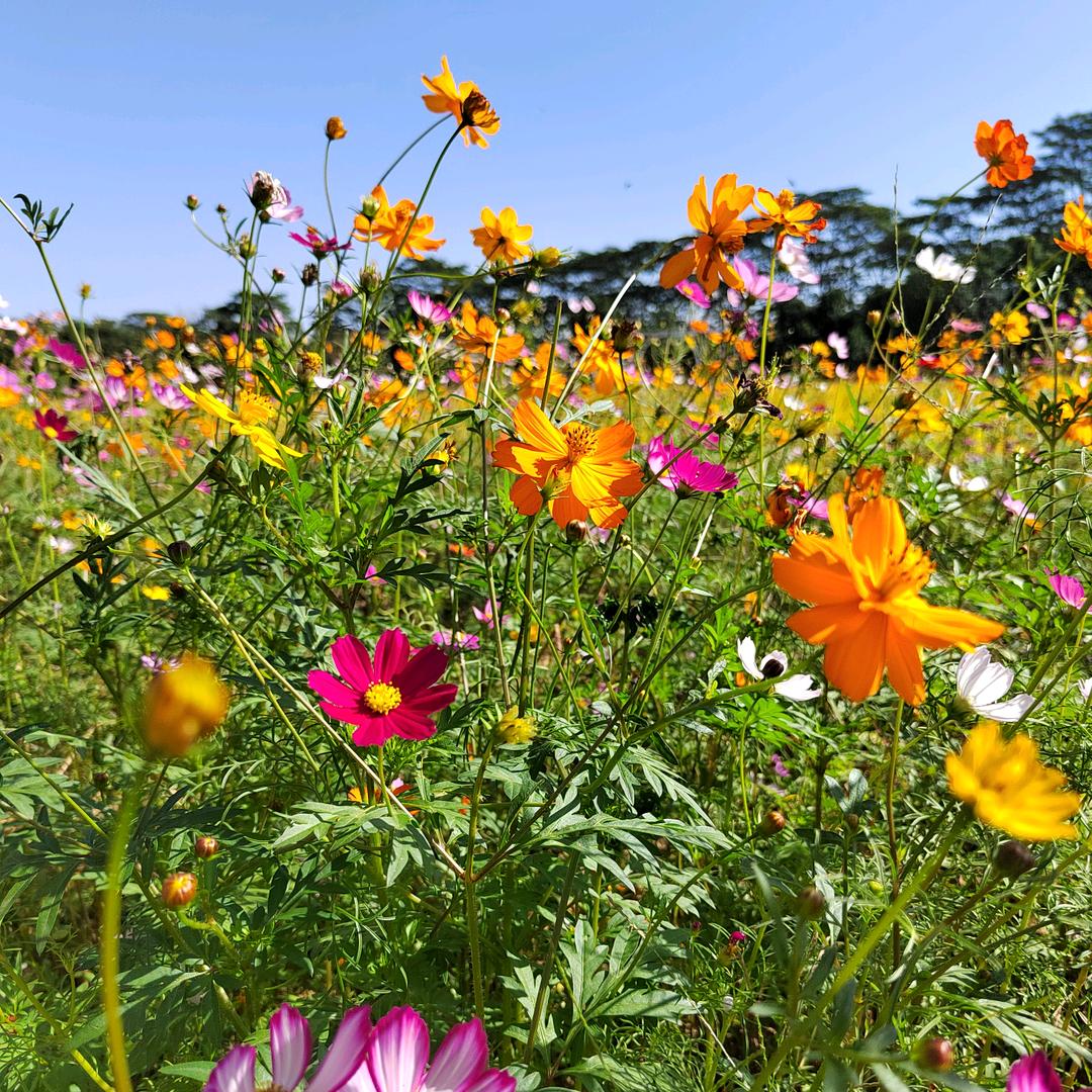 二胎宝妈带娃（低谷版）