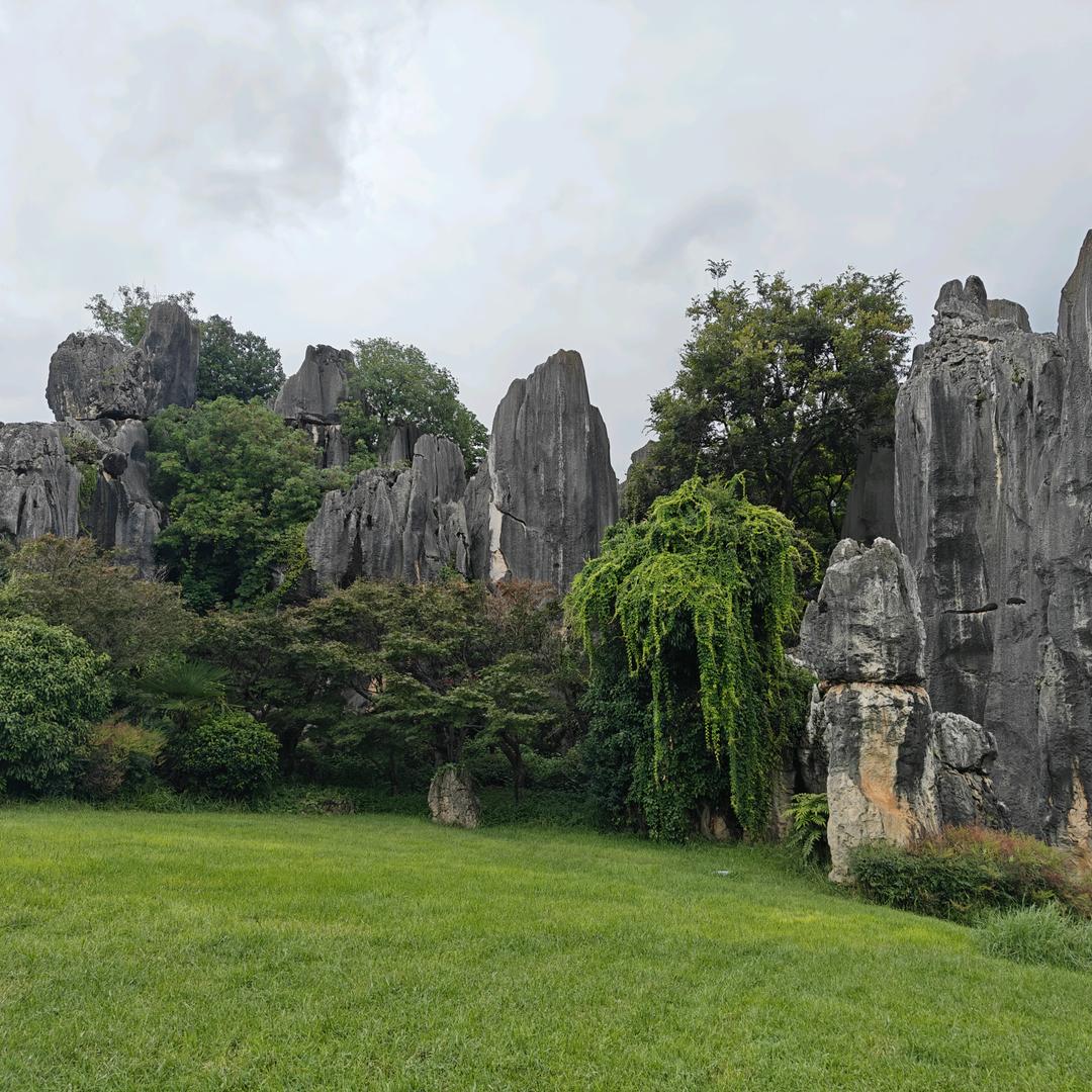 广东维诺拉系统门窗