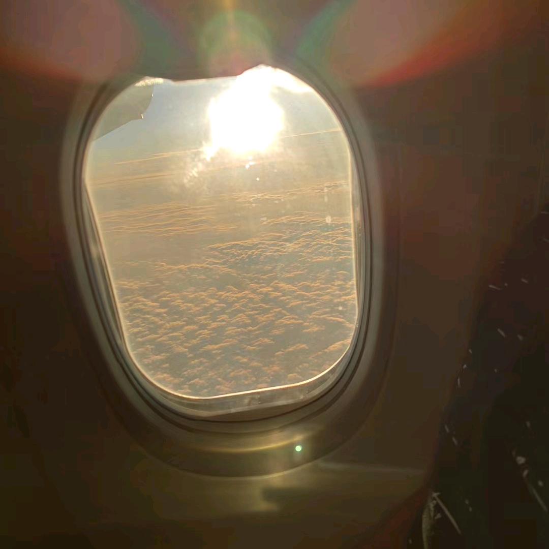 山东菏泽木饰面防撞板SPC