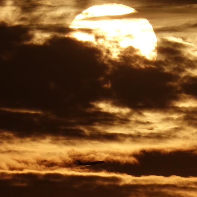 风波大道尘土至情