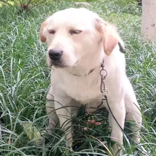 对方正在偷人……