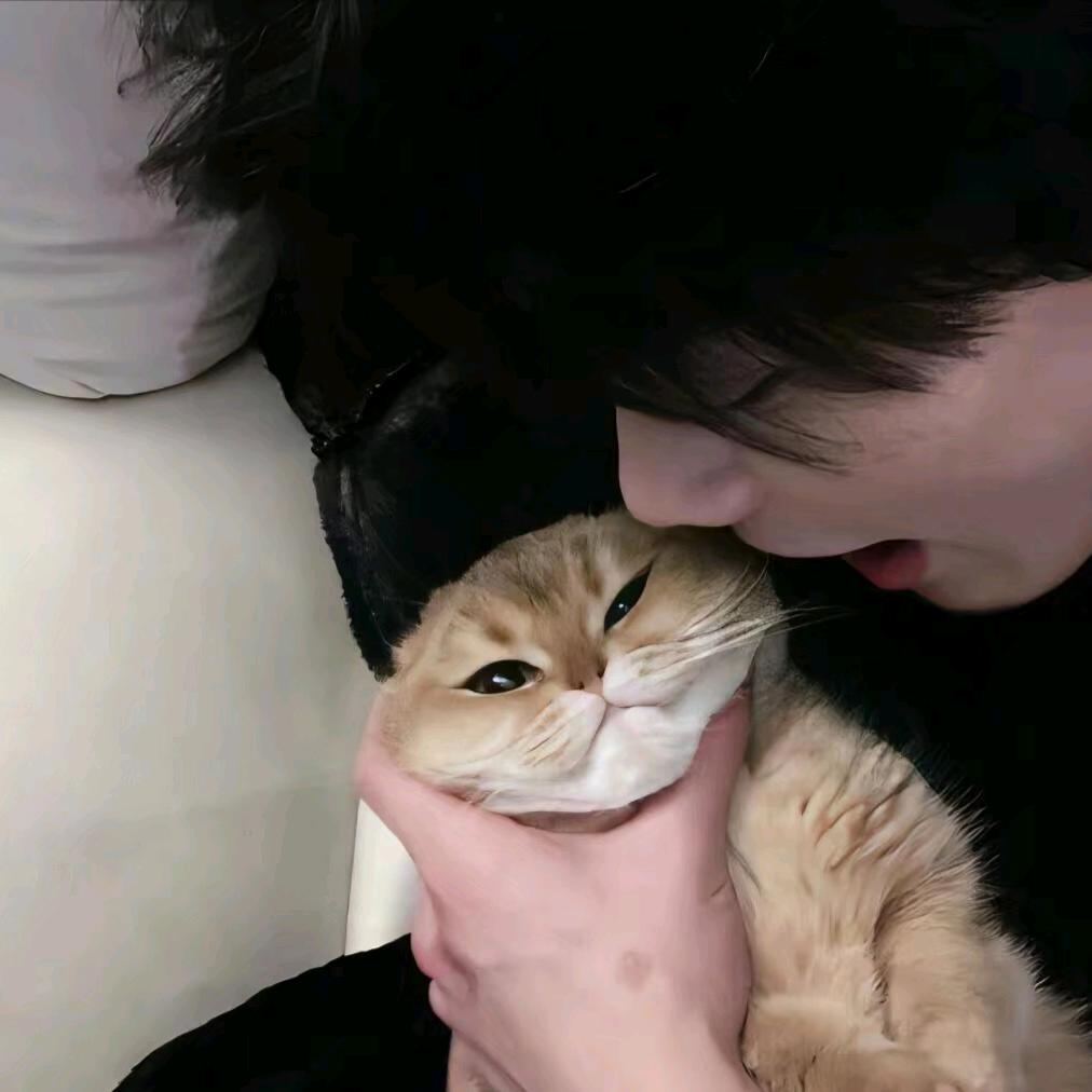 《》