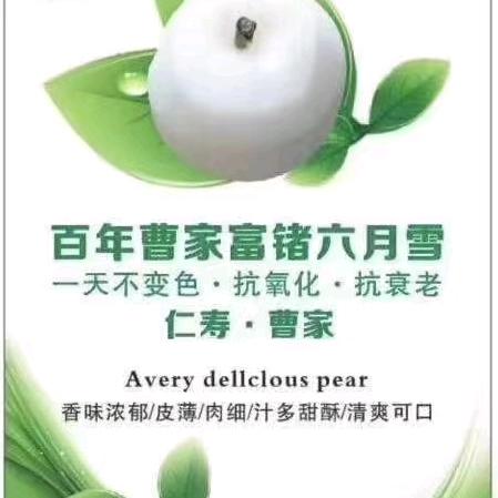 仁寿万姐'梨园，