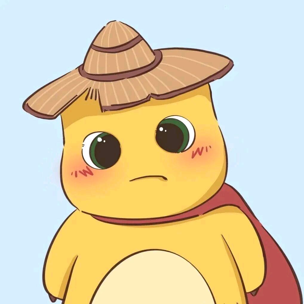 东瓜皮·
