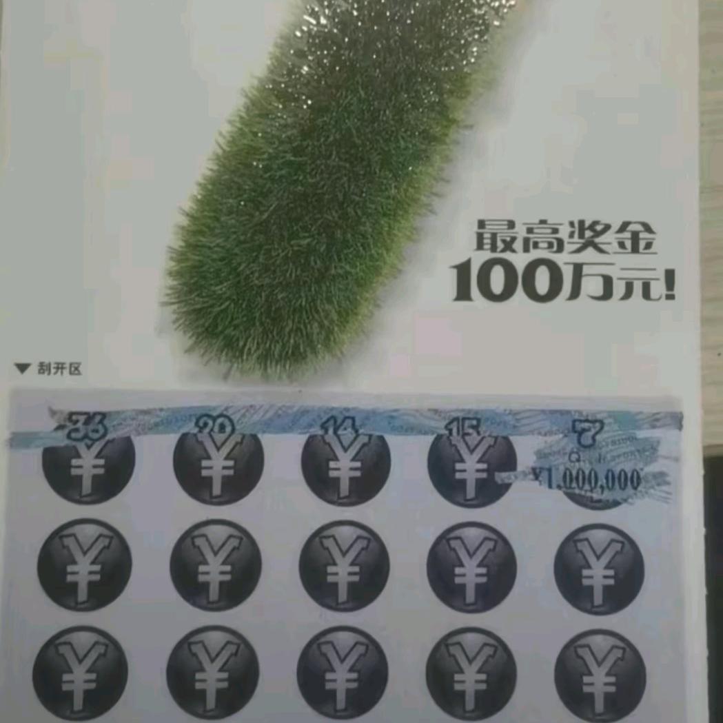 不会开飞机的舒克