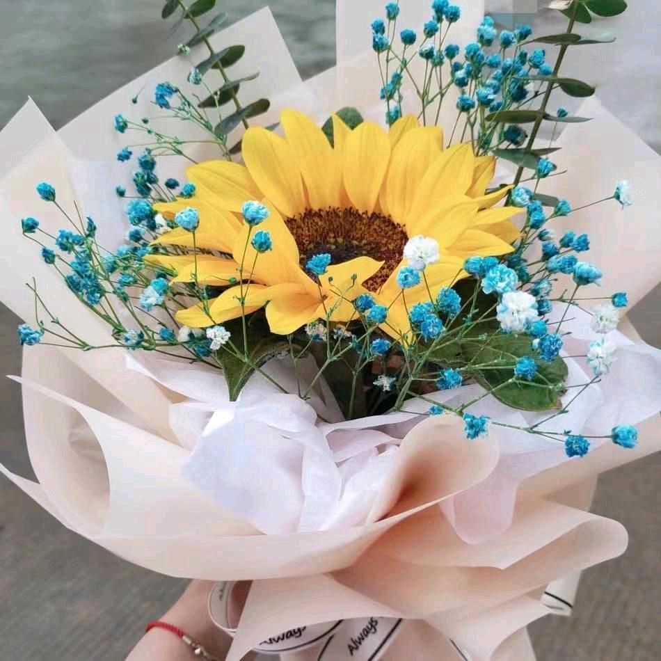 醉眼☆煙花