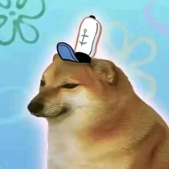 领导交给我您放心