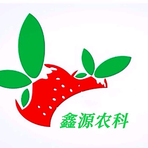 郏县李口莓香种植家庭农场（个体工商户）