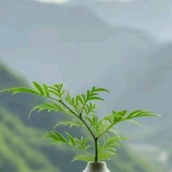 可心《拒绝私聊》