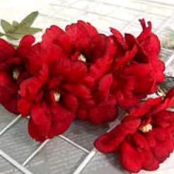 💞英子💞1113💞💞