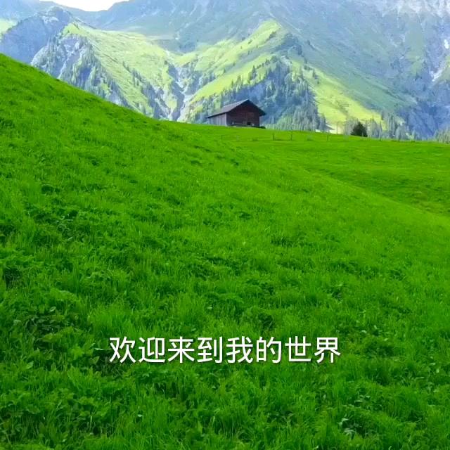慧姐好为物