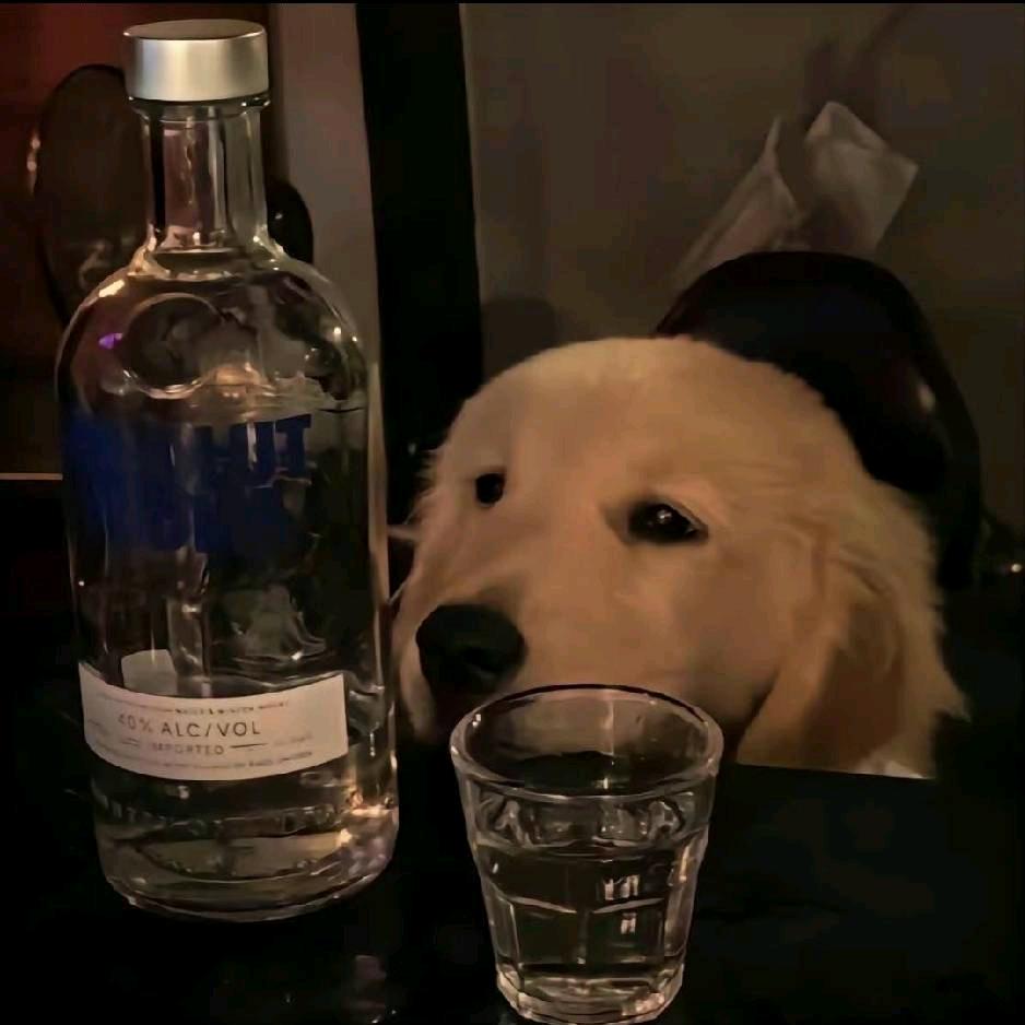 炽