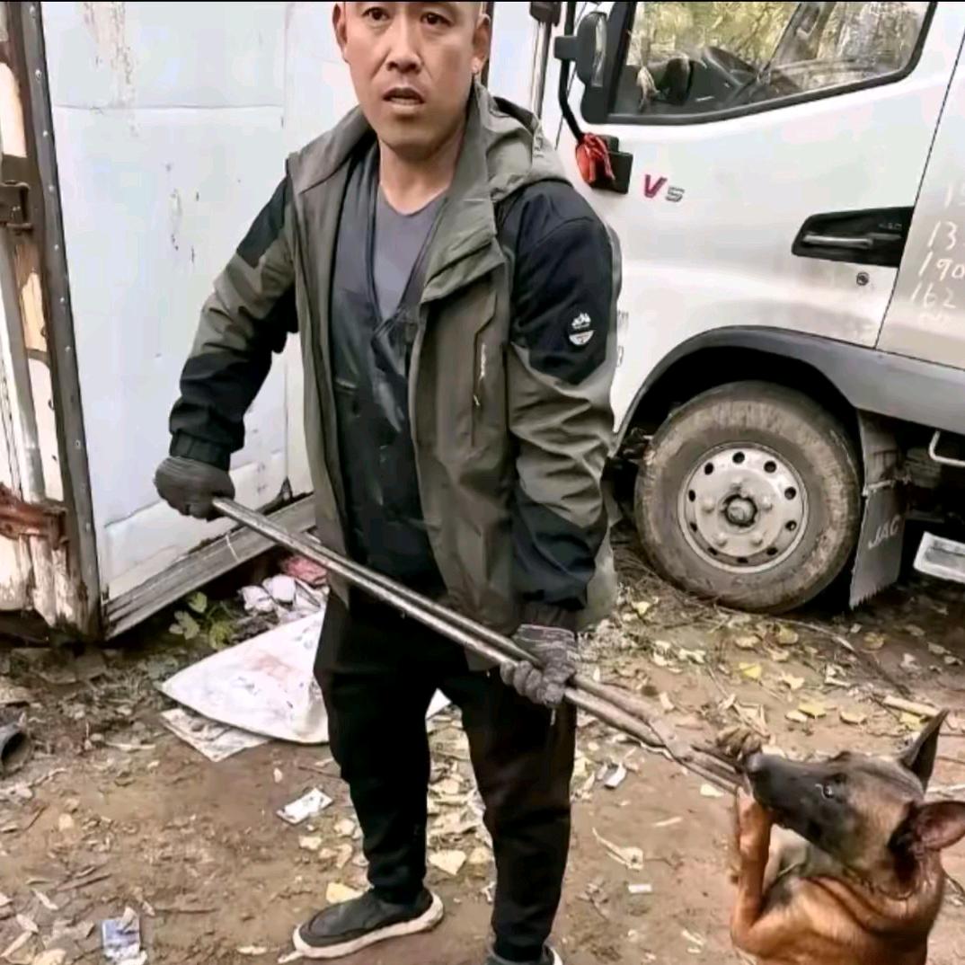 AAA陈哥专业套狗