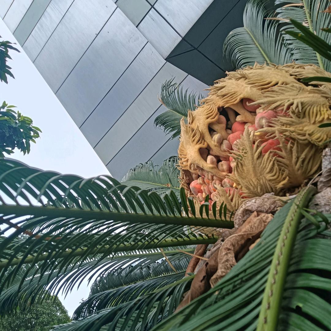 谁来爱我