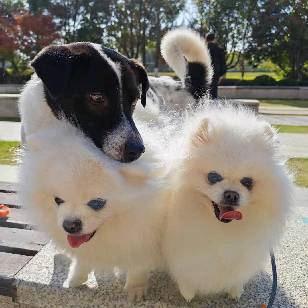 好饿好困⊙﹏⊙