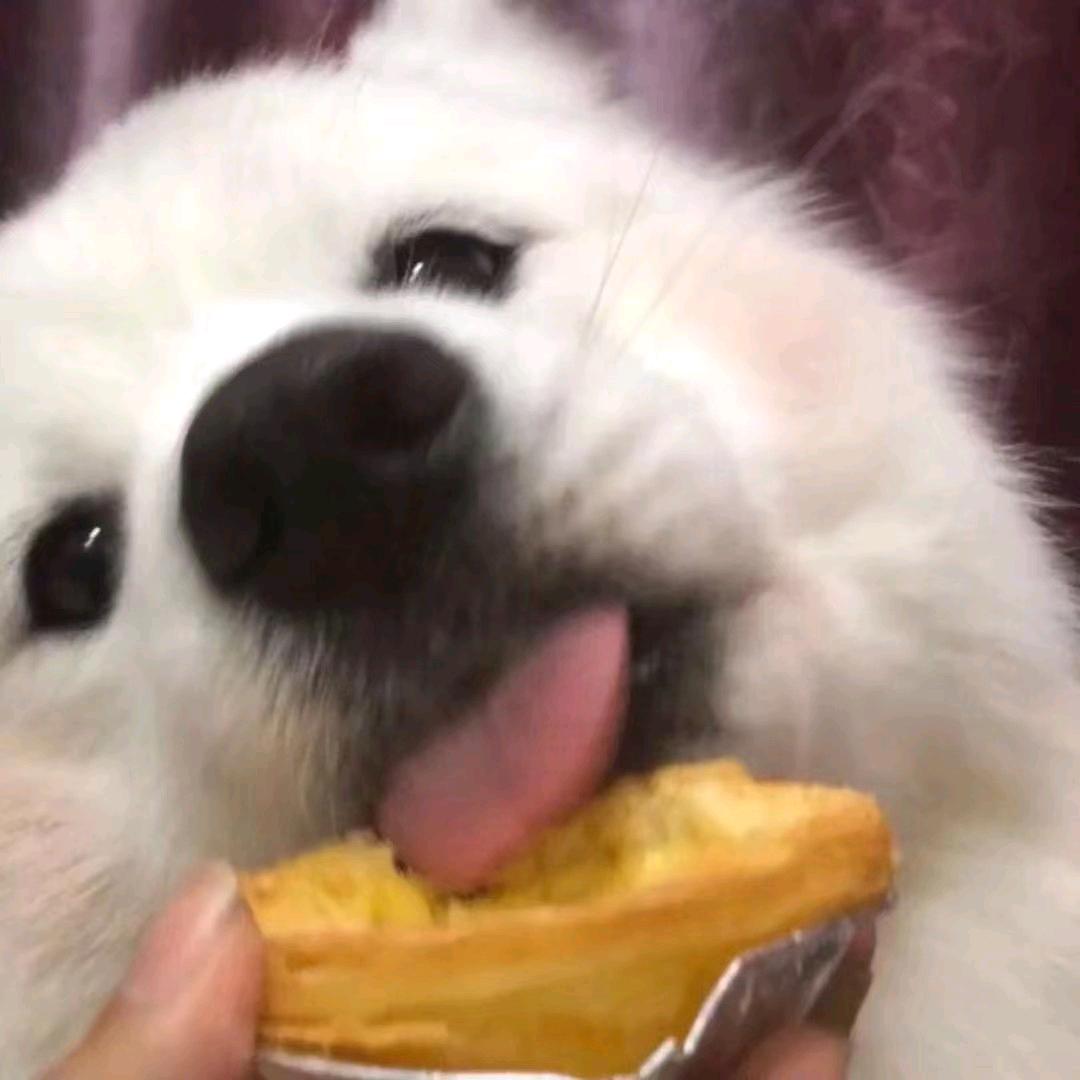 .虾仁不眨眼