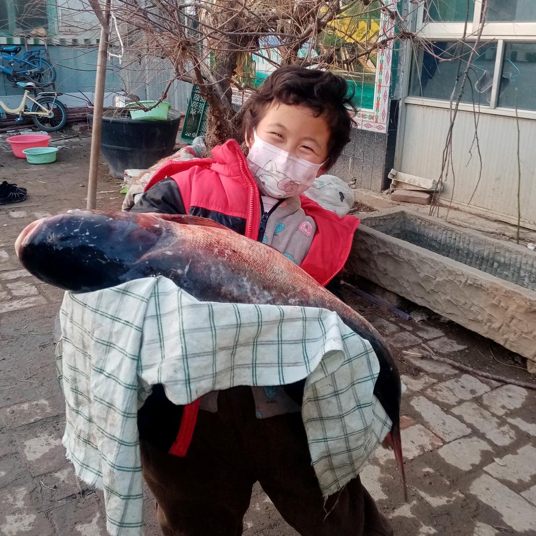 微尘