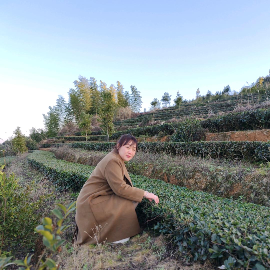 乡农茶生活