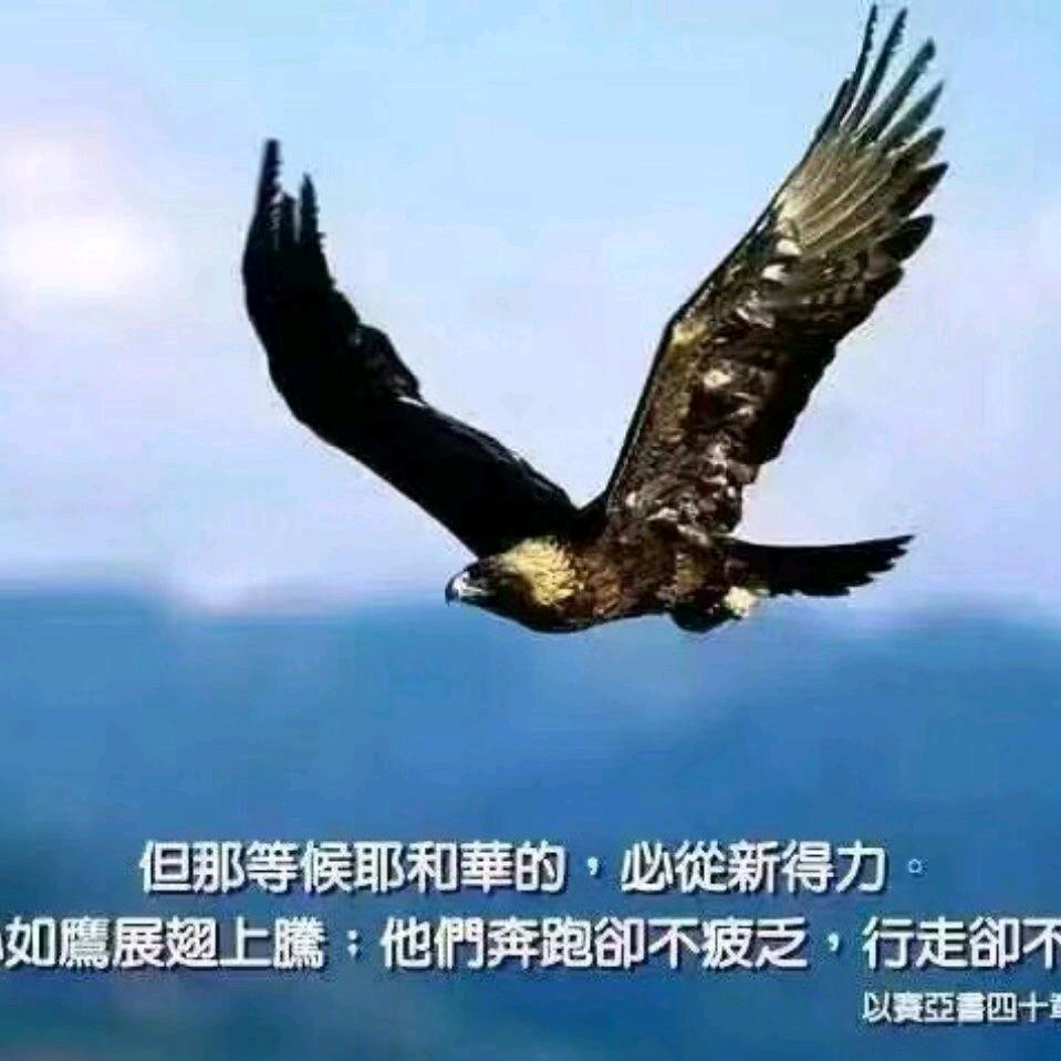 日增月盛777