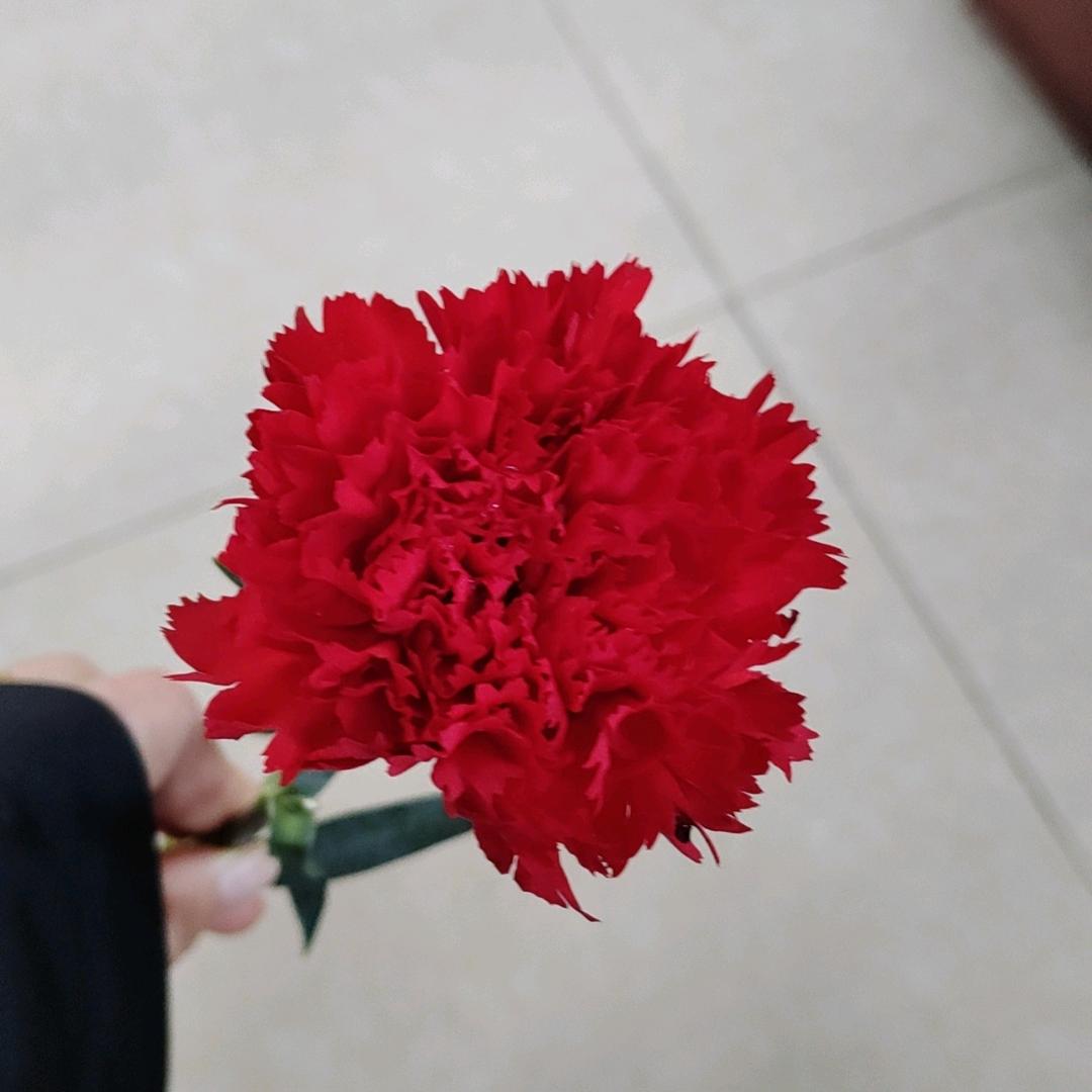 我还是我