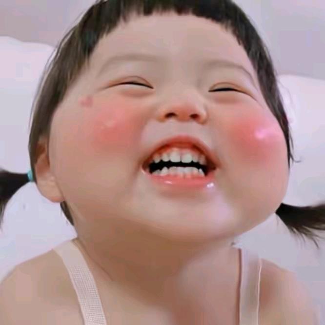 憨憨没烦恼