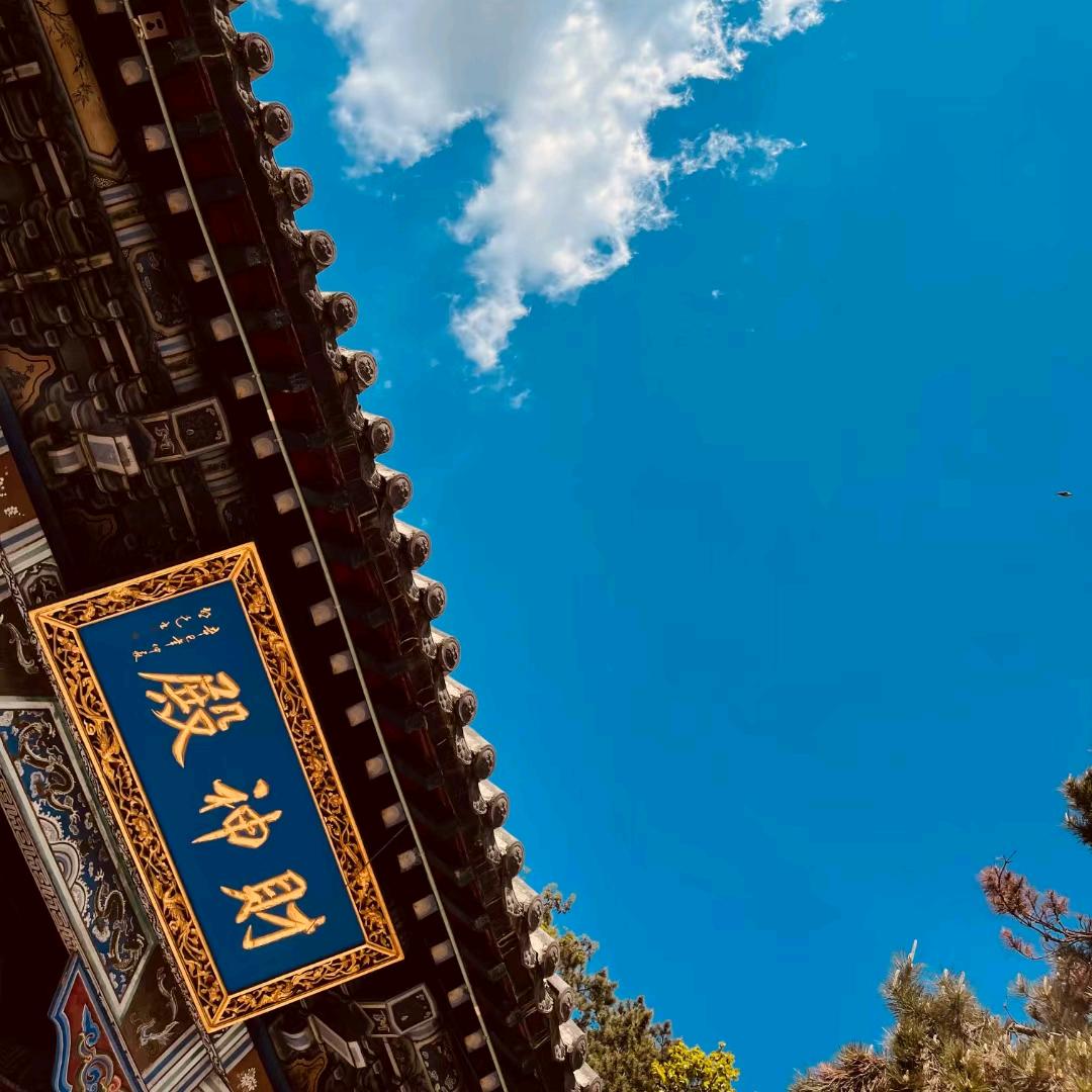 ", 小壁虎*