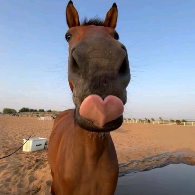 就一苦命老百姓