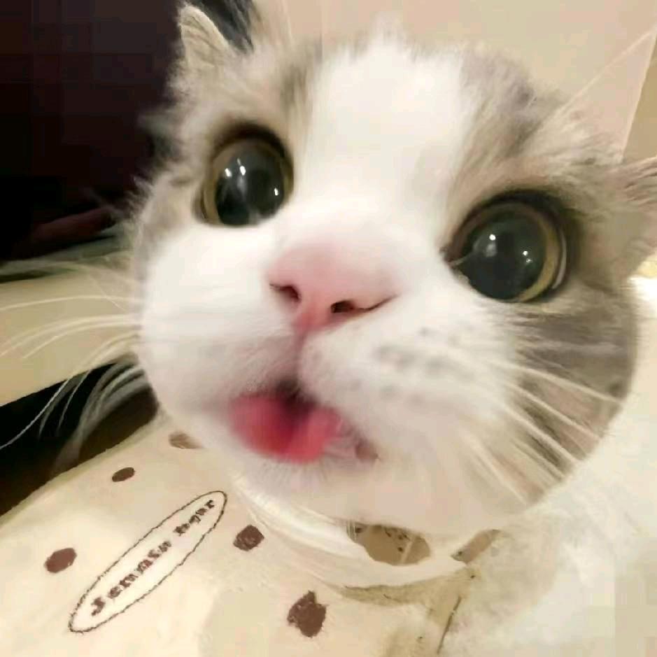 宇霖