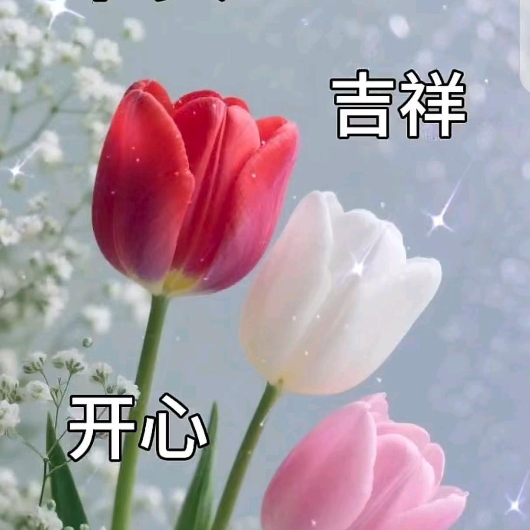 东北妞