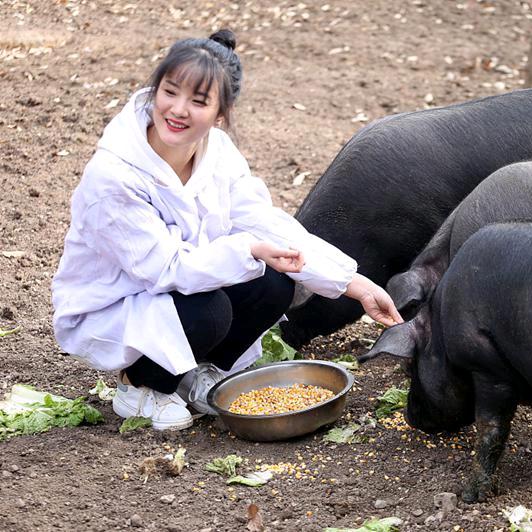 养猪界女状元