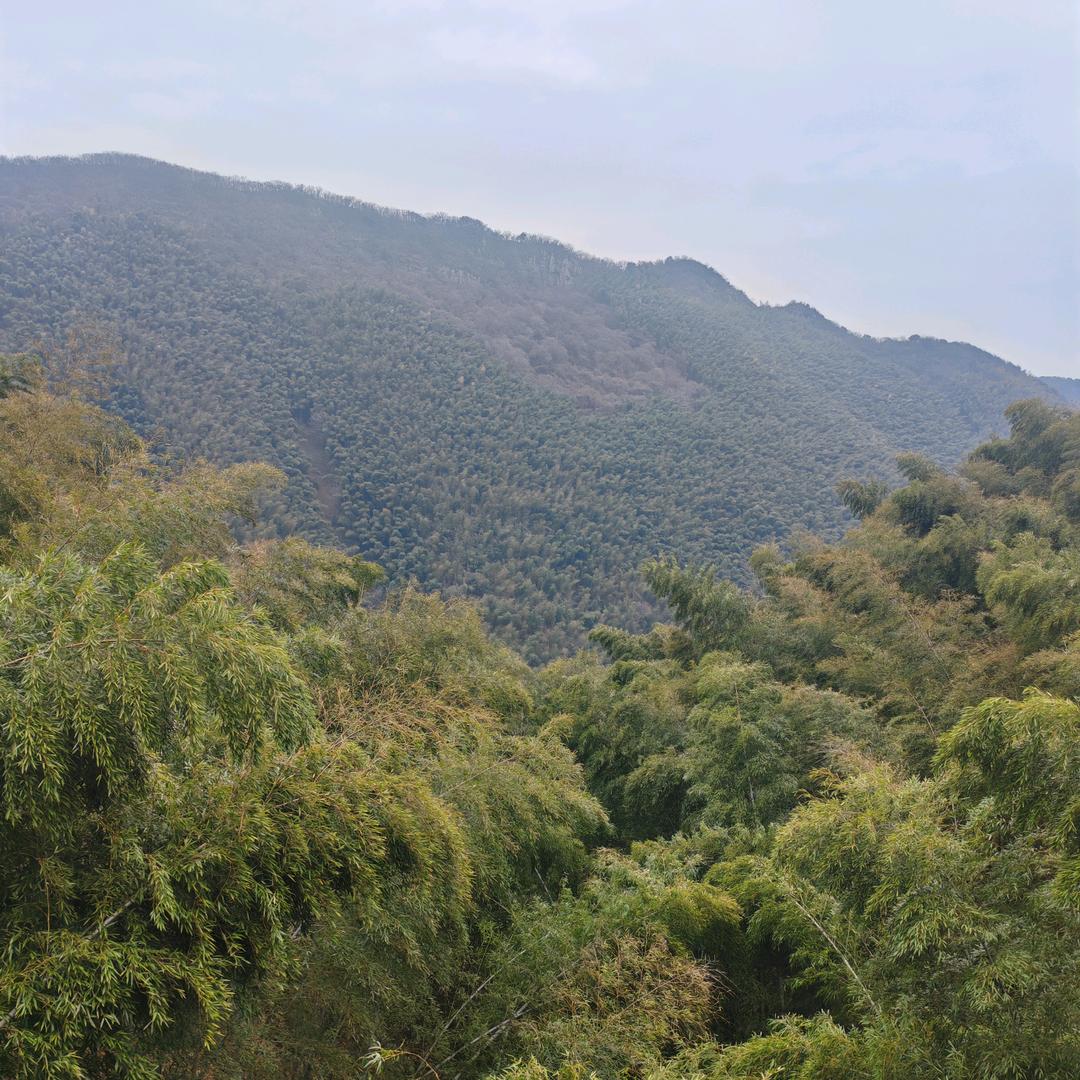 明光市庄园养殖场