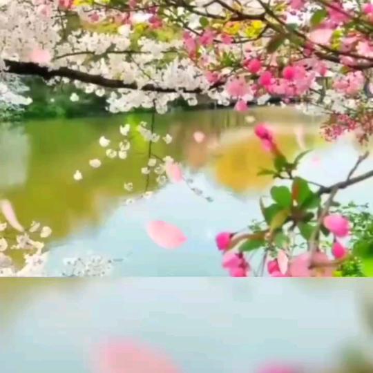 温木