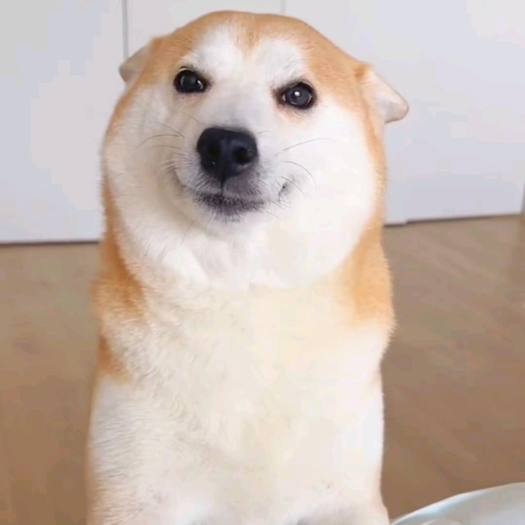 大黄面包