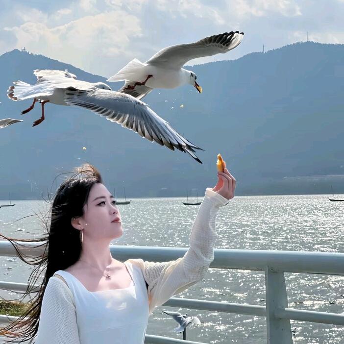 心事都在歌里