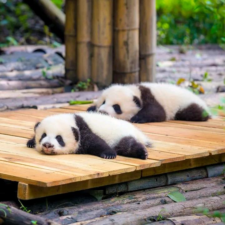 🌈🌈🌈王同学