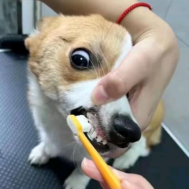 阑珊处.