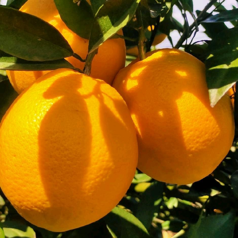 宜昌永然商贸有限公司