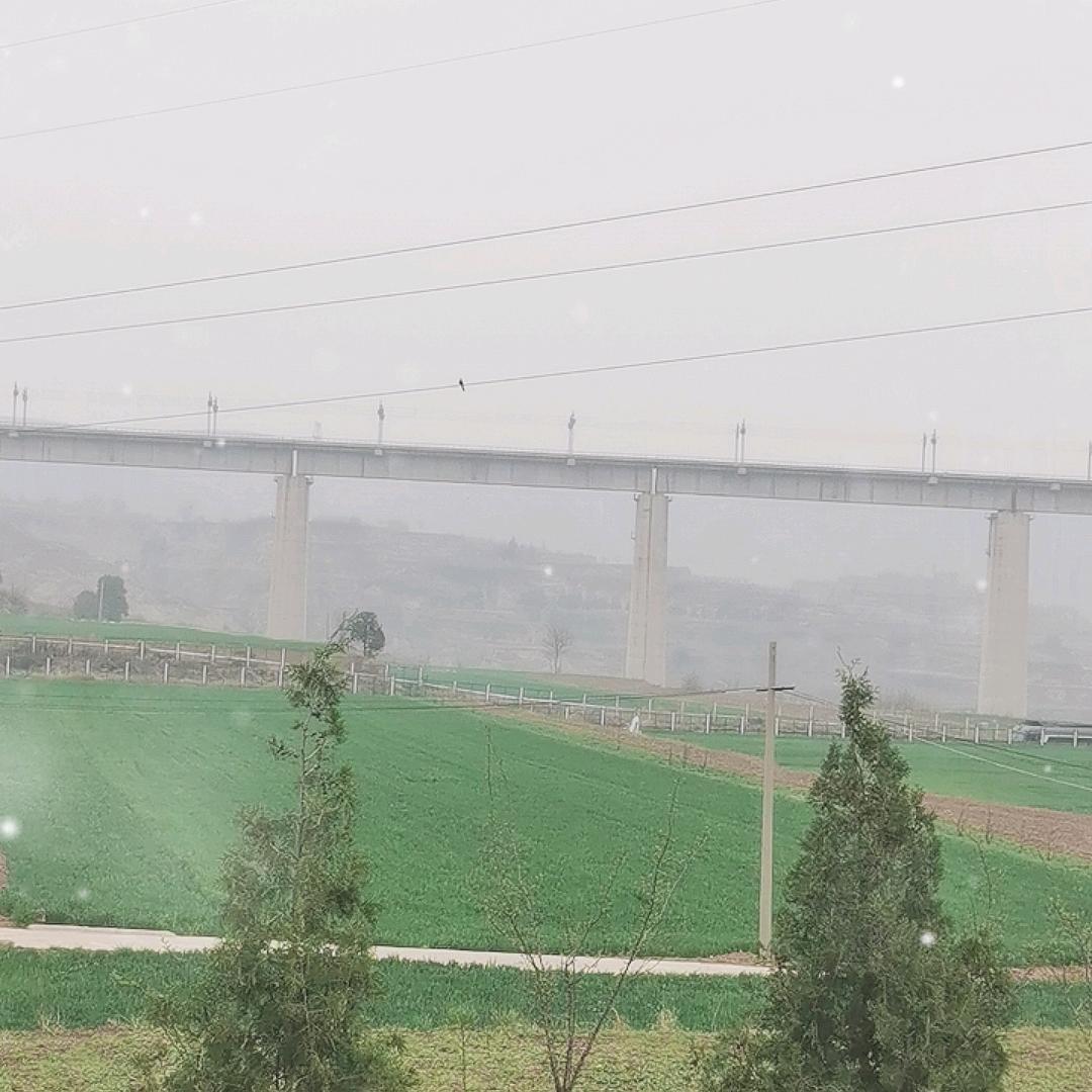 老熊花卉