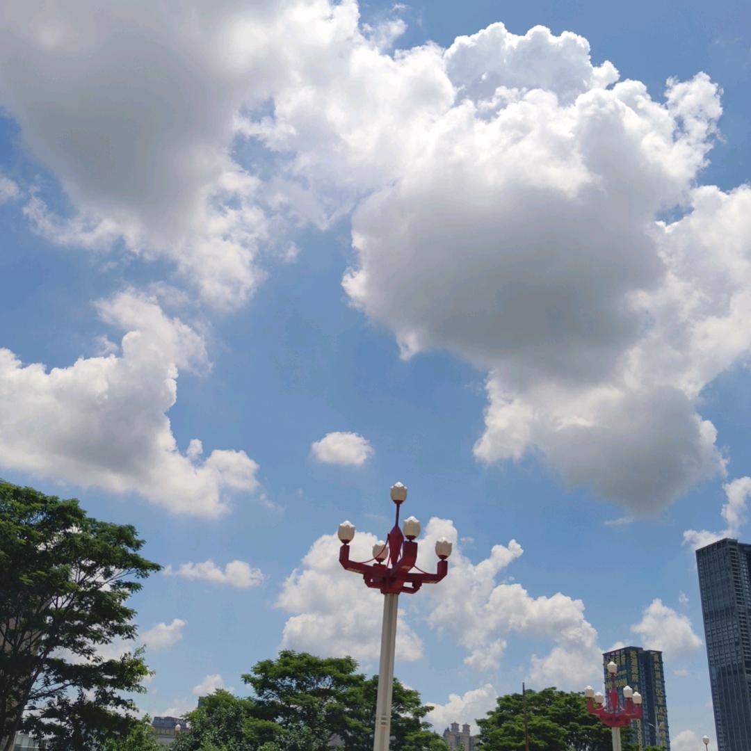相逢无悔