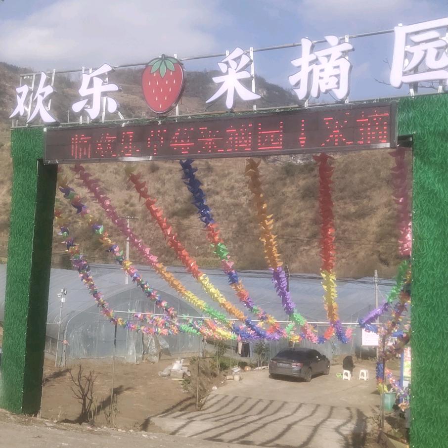 六盘水市欢乐草莓采摘园
