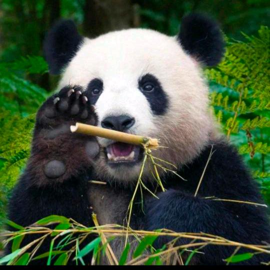 爱我就宠着我