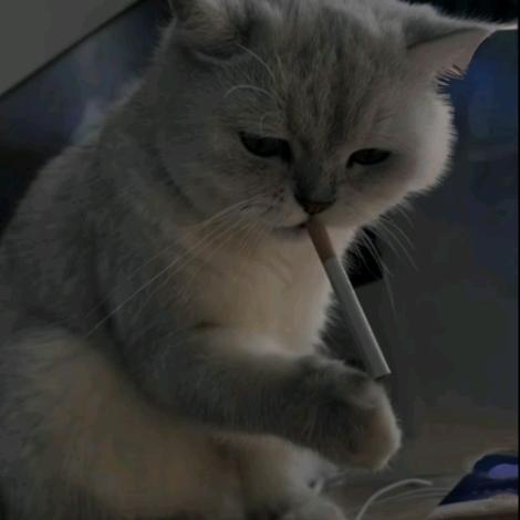 嘎嘎嘎