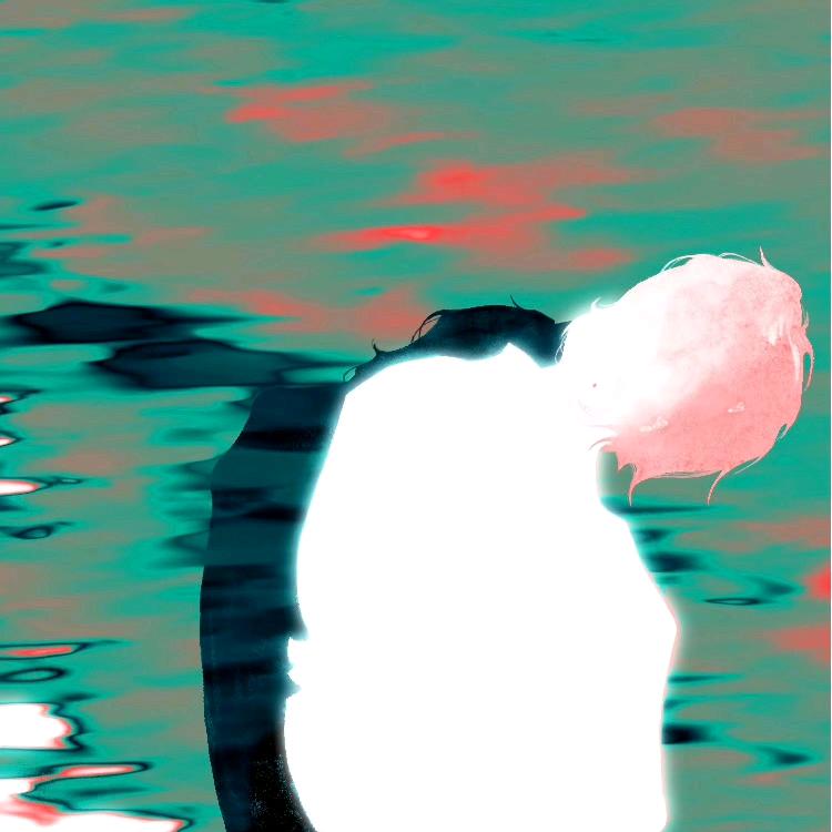 Max🐟