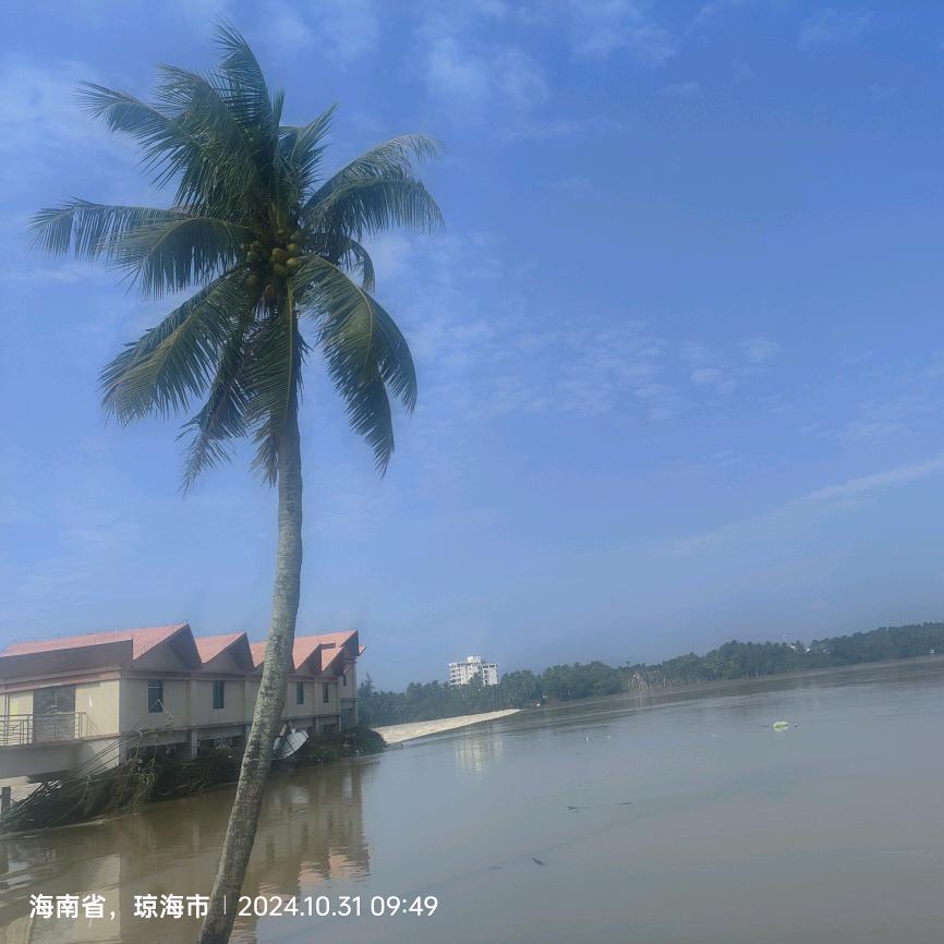 欧巴一枚