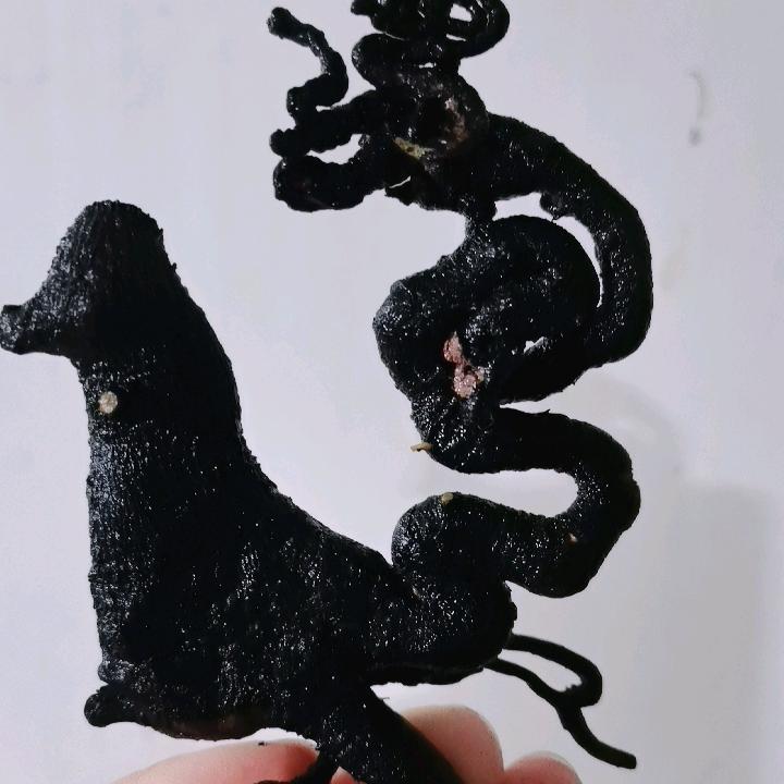 屏山徐琪盆景园