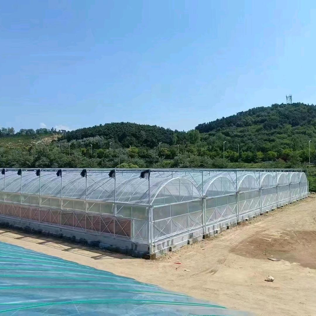 农业大棚～华子