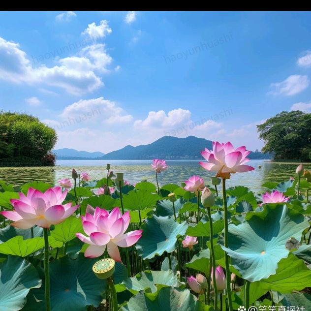 心想事成