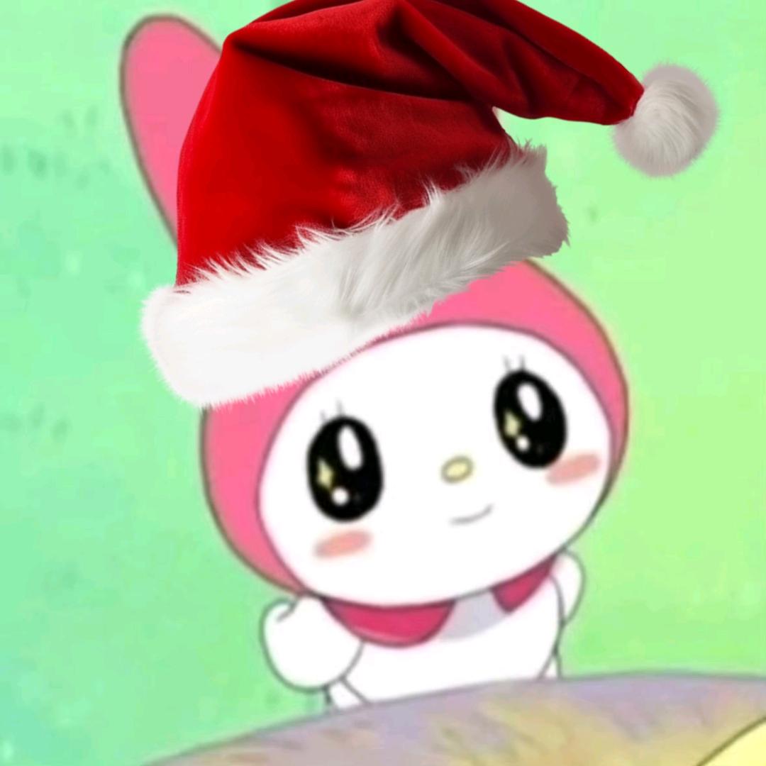 猪咪